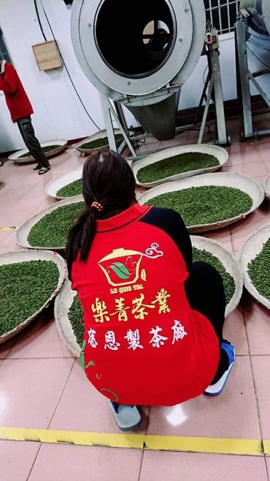 梨山冬片